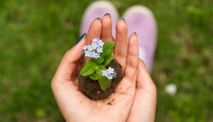 ۱۱ پیشنهاد برای شروع بهتر سال نو